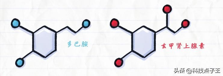 无法控制欲望的病,难以自控的饮酒欲望
