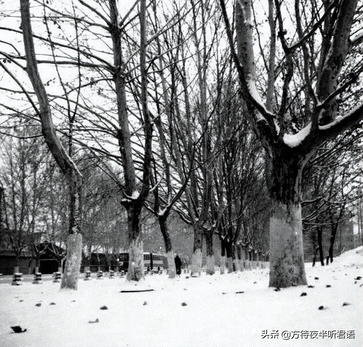 1980年代郑州老照片,八十年代郑州老视频