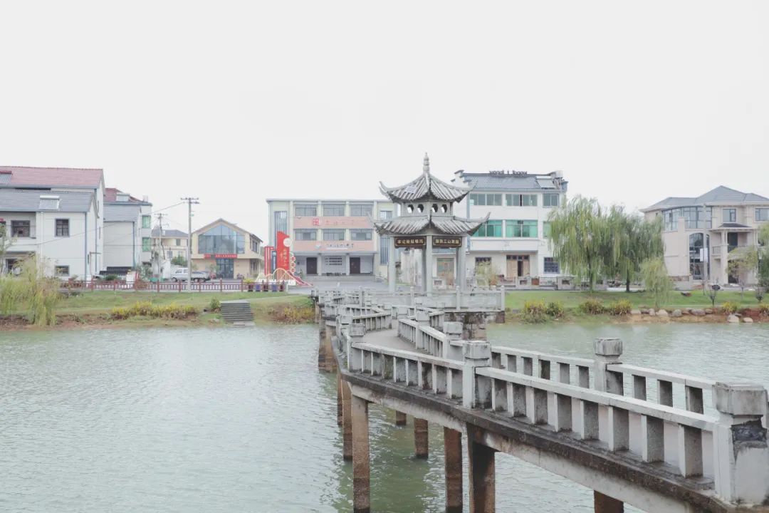 农村土地如何增值？柯城这个乡有好方法