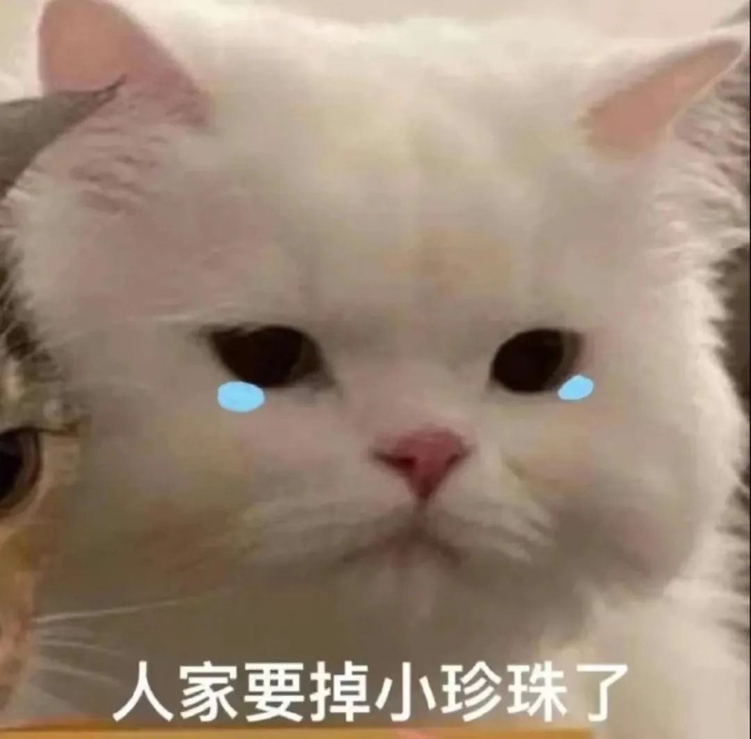 谁懂啊，一年级的小朋友想当“热狗侠”，我哭得鼻涕一把泪一把