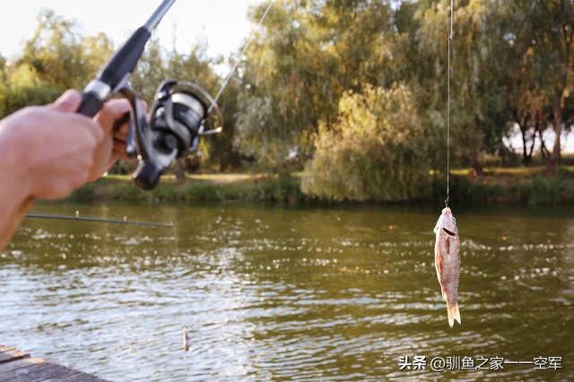 钓鱼调漂的正确方法是什么,钓鱼必备的四种调漂方法