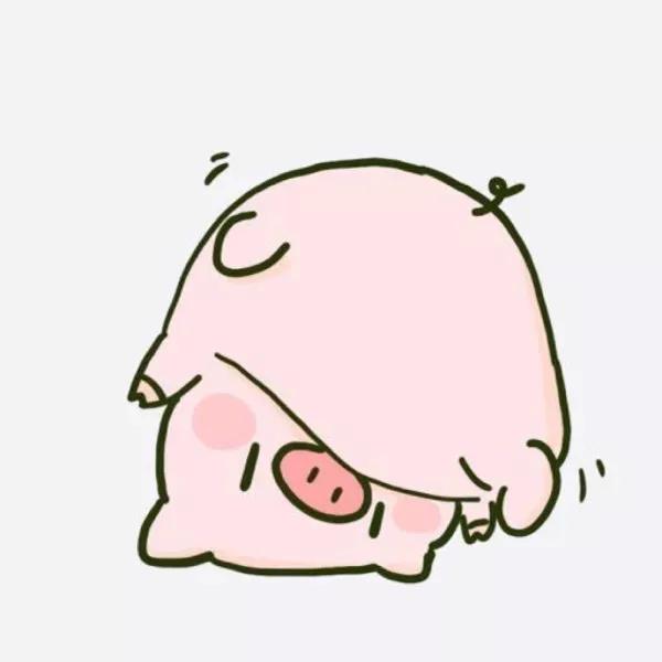 宝藏公众号推荐头像,有品味且高级微信头像