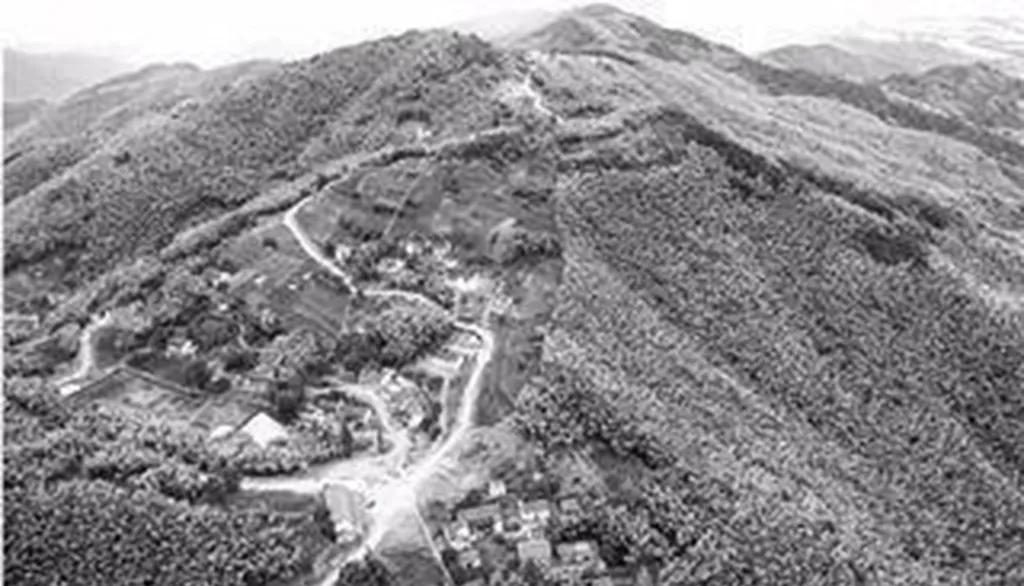 为什么说志愿军是轻步兵的巅峰,志愿军为什么被称为轻步兵巅峰