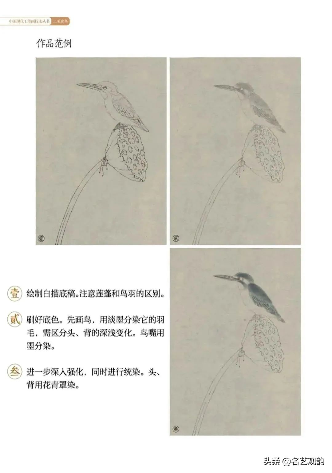 国画禽鸟写意教学视频,工笔禽鸟圆扇图片大全