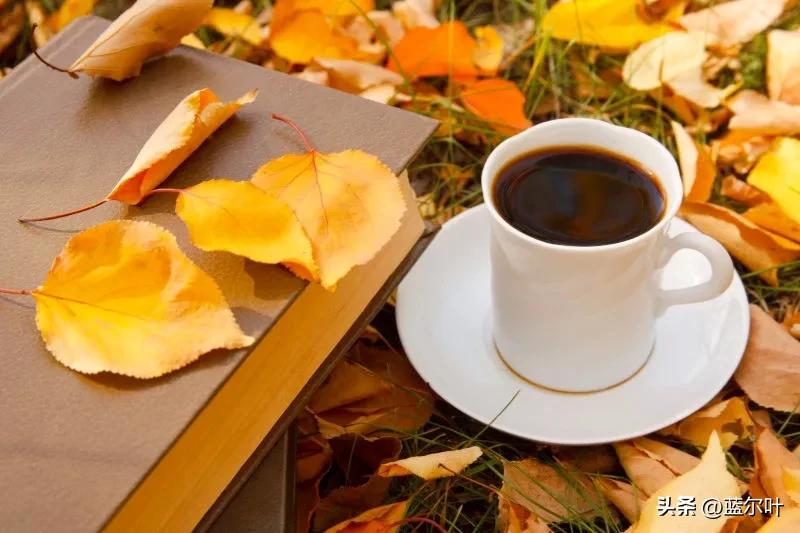 购买理财避免“坑”，哪个银行，哪个时间段，购买理财产品更靠谱