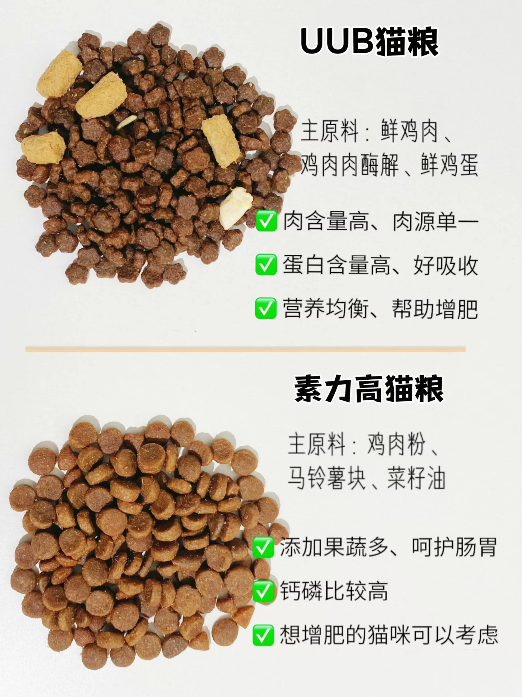 8-9个月的猫猫粮推荐,8款优质进口猫粮推荐