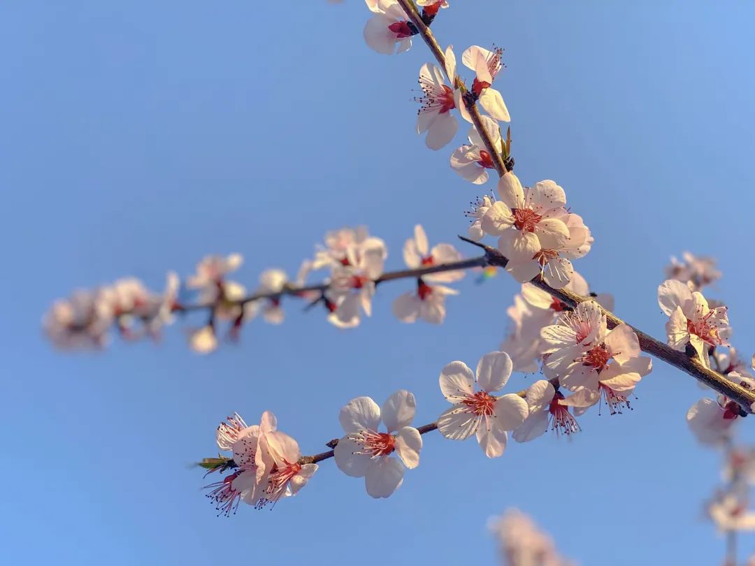 五一结束销售文案怎么发吸引人,限时促销文案怎么写吸引人