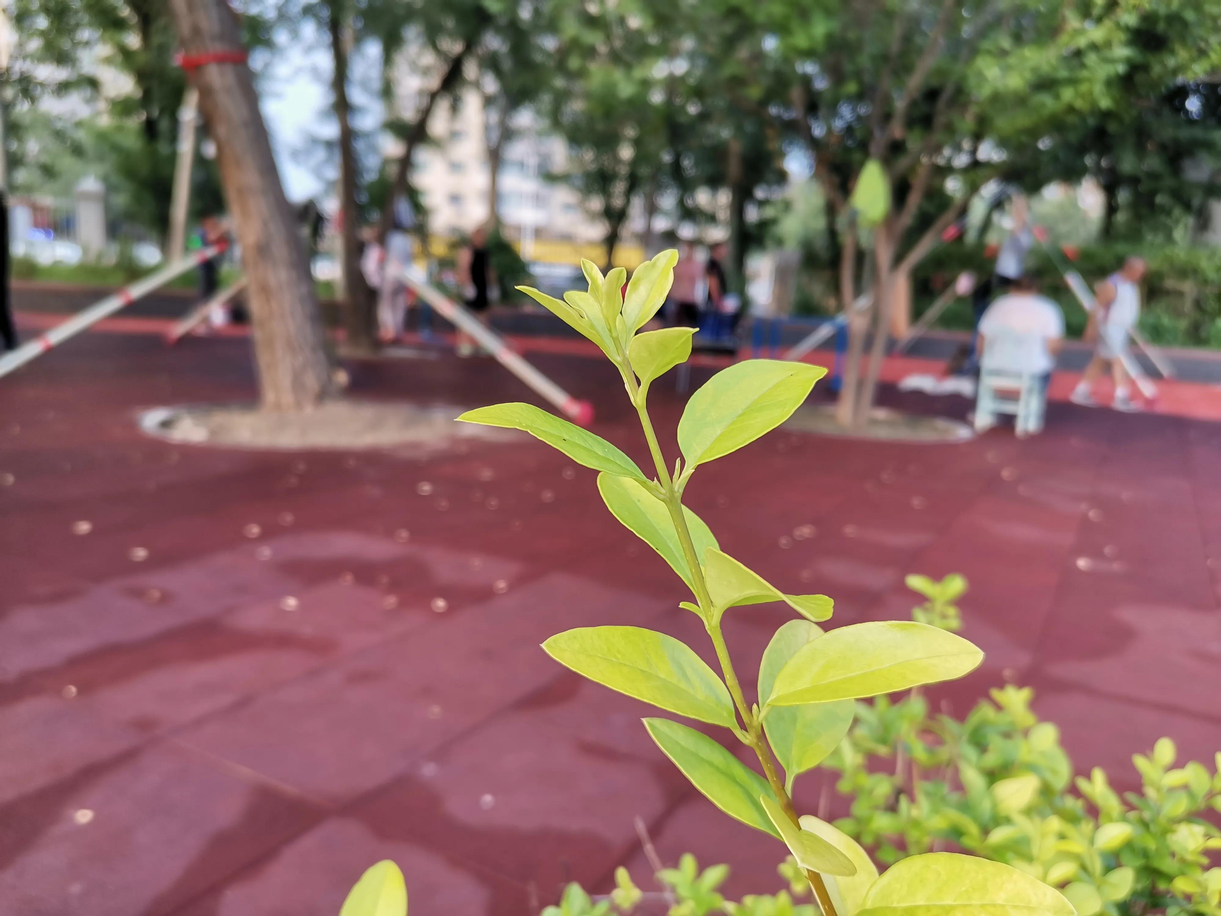 天津市全民健身活动场开放了吗,天津滨海健身公园