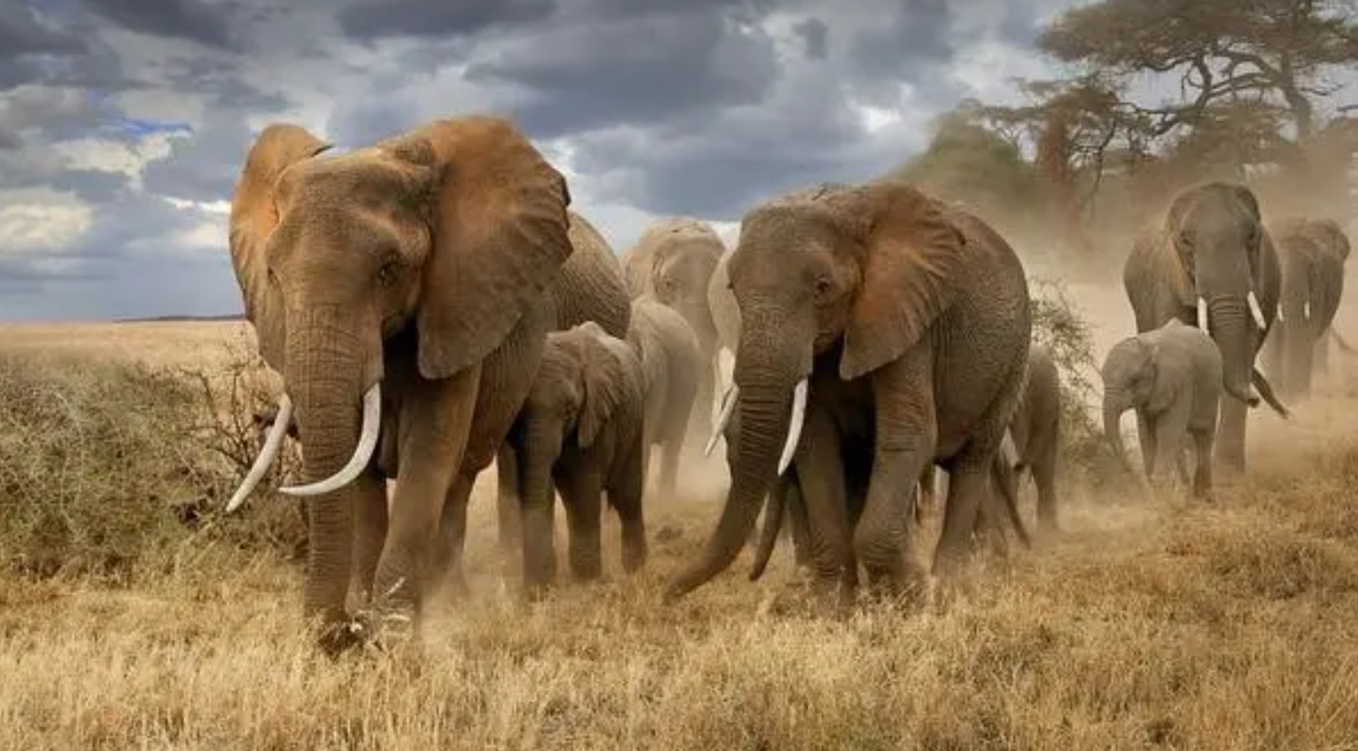 为什么男人高女人低,为什么男高女矮才配