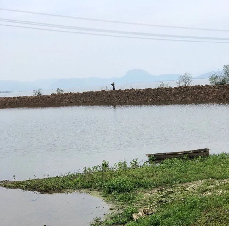 海竿的收竿方法,海竿排竿技巧