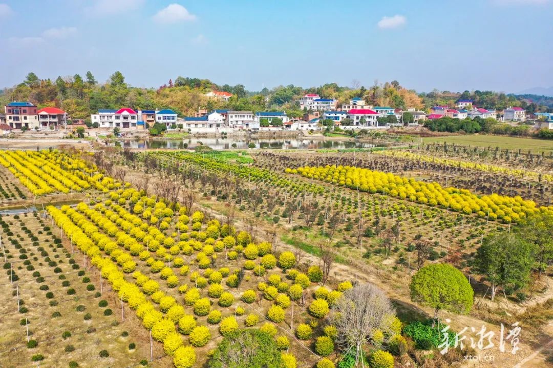牢记殷殷嘱托为转型发展绘制蓝图,牢记嘱托感恩奋进推动高质量发展