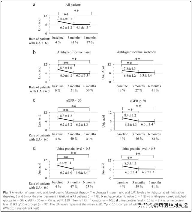 痛风犯了非布司他可以吃吗,痛风用非布司他片效果如何