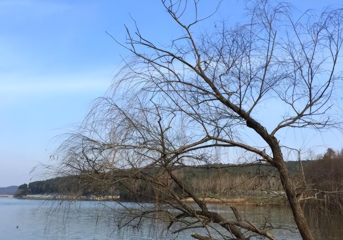 双春年结婚寡妇遍地什么意思,兔年遍地寡妇是啥意思