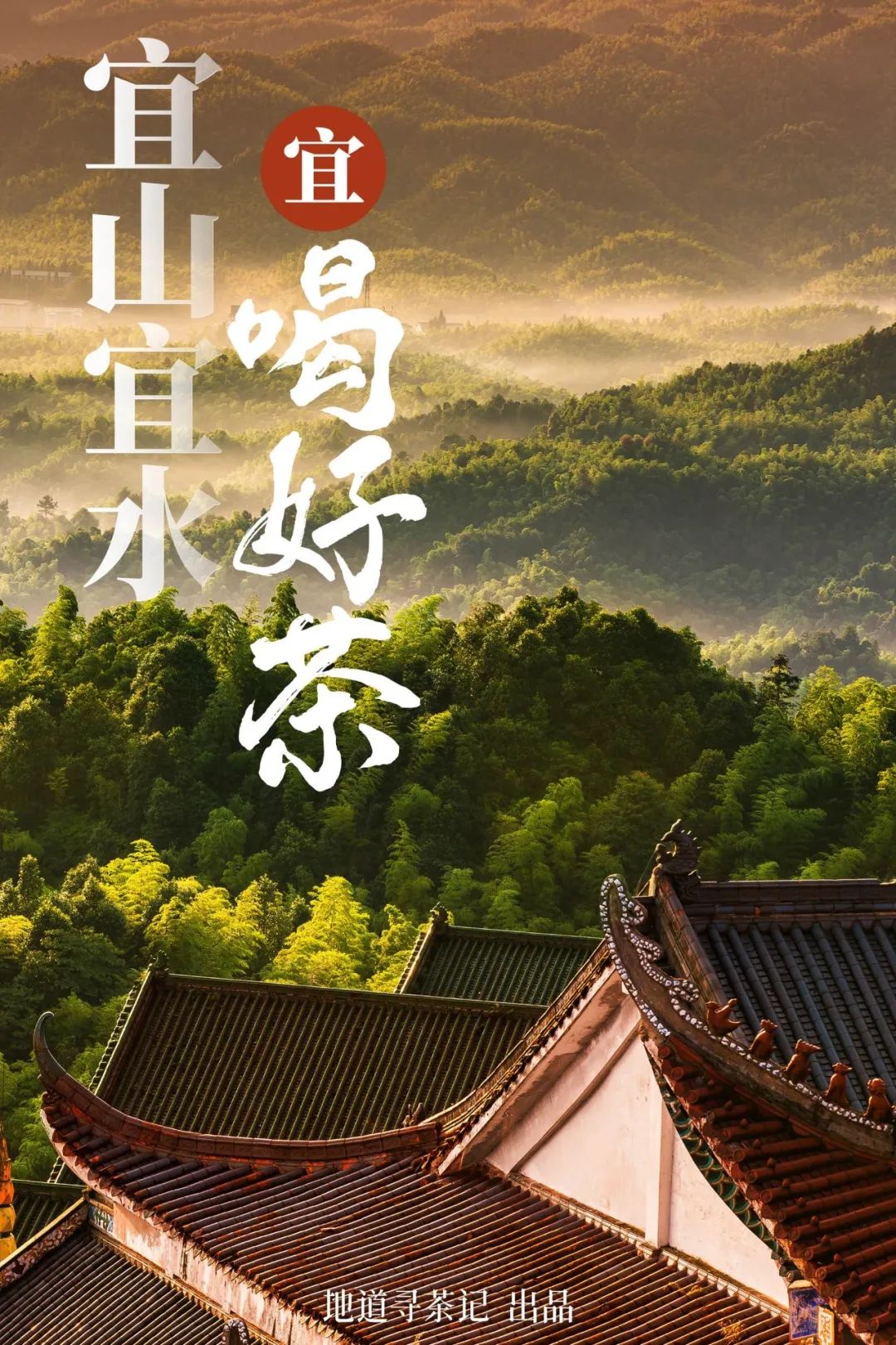 中国最好喝啤酒城市,全国最难喝的城市