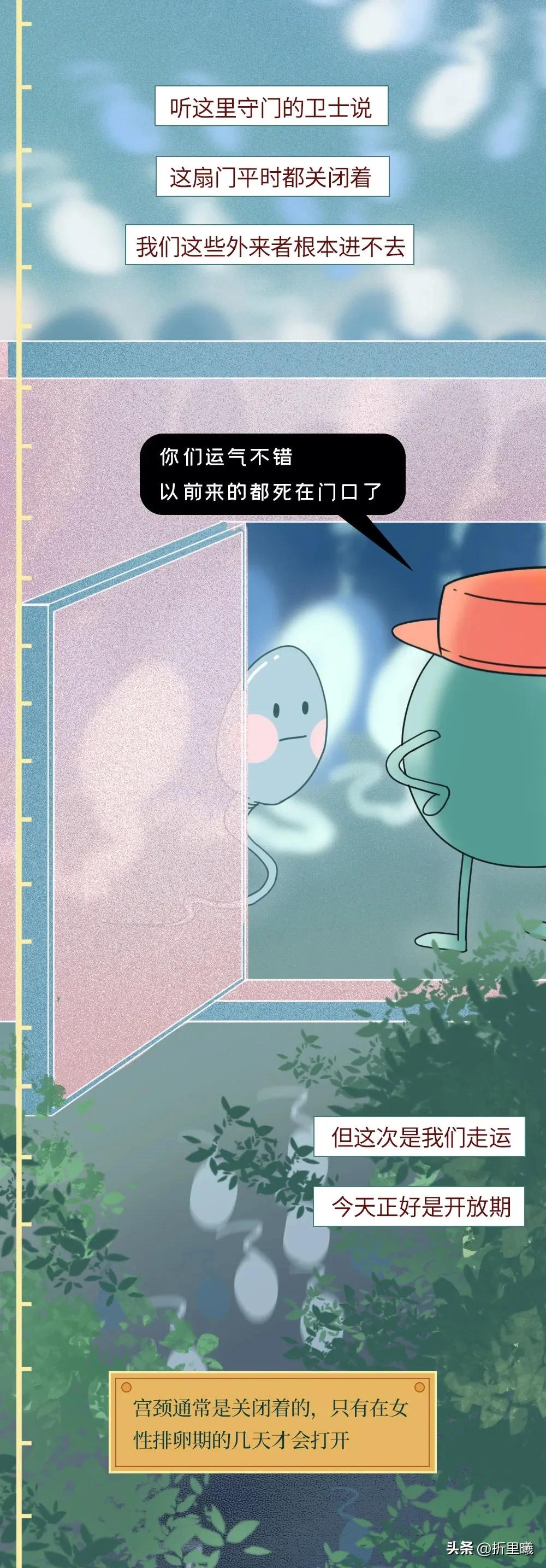 精子进入女生体内的24小时全过程曝光！