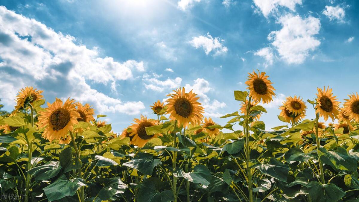 北京网红免费打卡景点,北京旅游哪里好玩免费景点