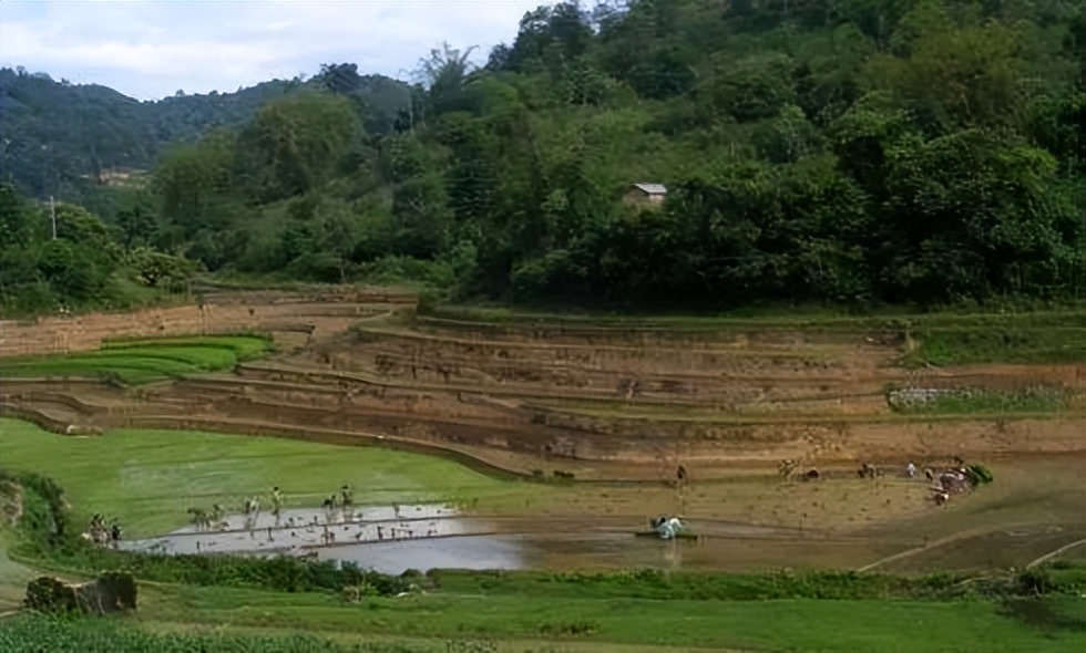 缅北的华夏同胞,缅北华夏同胞