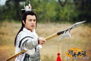 隋唐英雄4薛丁山误会梨花害仙童,隋唐英雄4薛丁山破敌