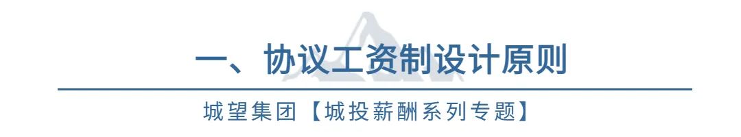 项目工资制薪酬方案,城投人才引进薪酬