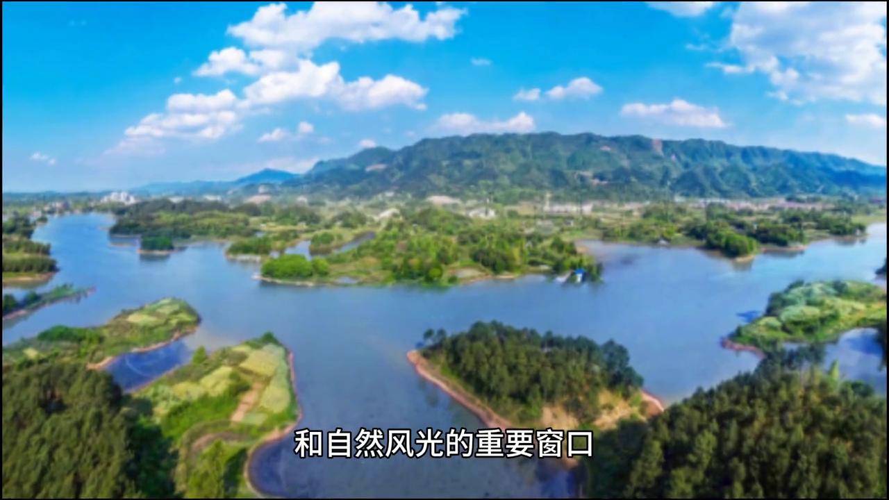 重庆市大足区地址,重庆市大足区简介