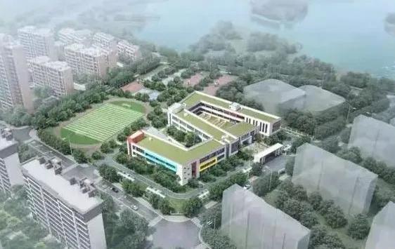 襄阳白菜最新价格,襄阳白菜聊襄阳房价