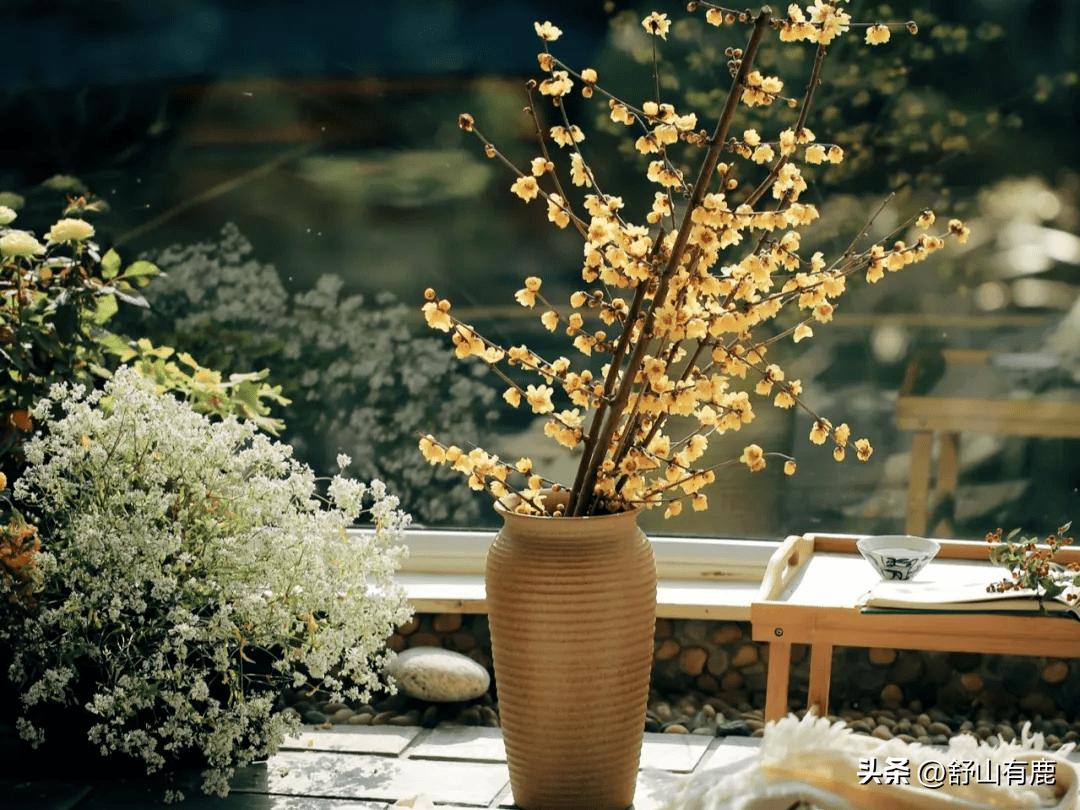 命犯小人如何应对小人,命里有小人犯什么意思