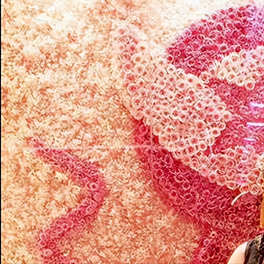 季季红火锅发展历程,季季红火锅是哪里的火锅