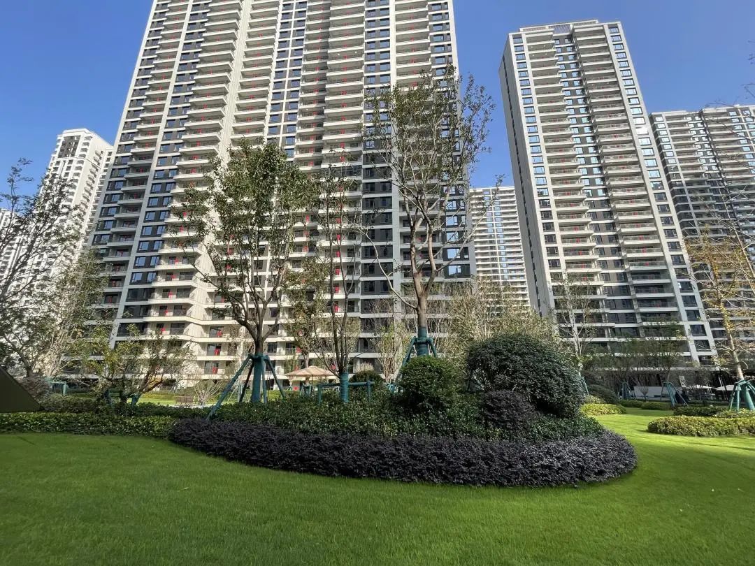 验房金地如期交付,金地2025年交房靠谱吗