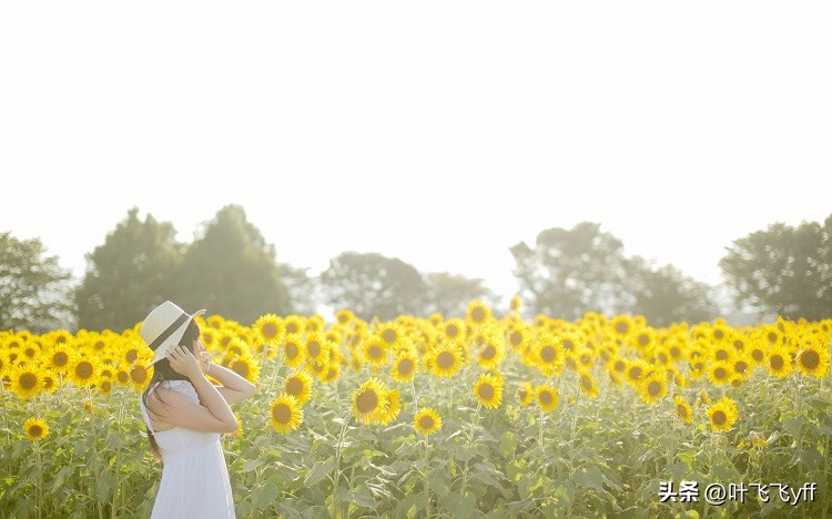 已婚女可以和蓝颜知己牵手拥抱吗,中年女人为什么会有蓝颜知己