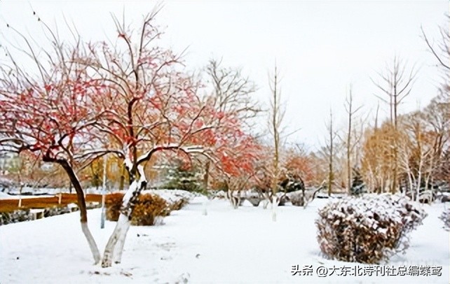 《秋天和冬天的对话》作者//周峰朗诵//陈兵