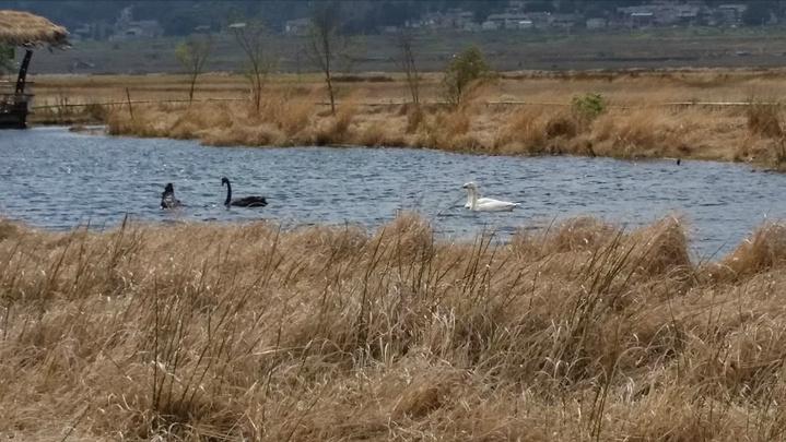 乡村纪实:那年省立徐州第一中学,在六县招了30个学生,爷爷考中