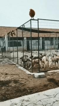 论一个人情商,论一个人能有多悲伤