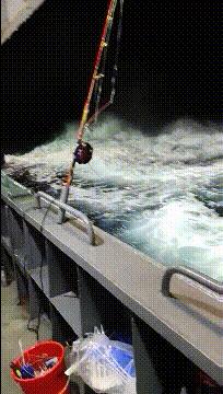 月老看事,月老吐血视频