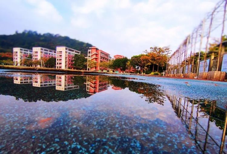 南沙区高中特长生招生表,广州南沙区特长生招生学校