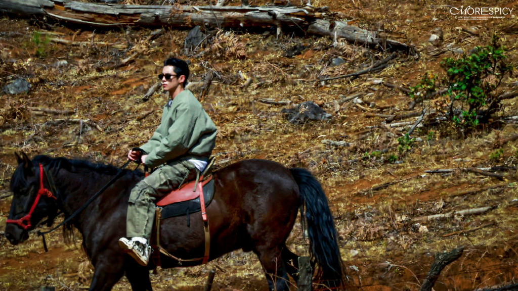 五十公里桃花坞第3季王鹤棣,五十公里桃花坞王鹤棣王传君预告