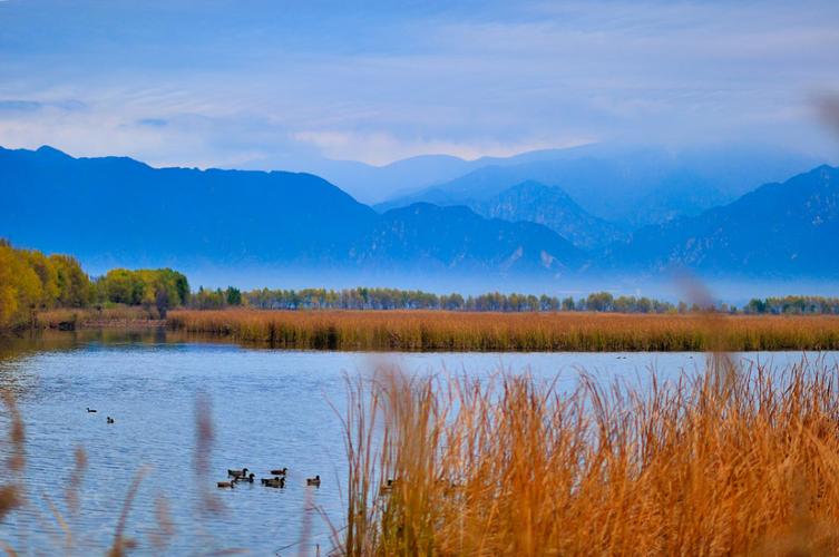 大兴野生动物园之旅,北京野生动物园和猛兽亲密接触