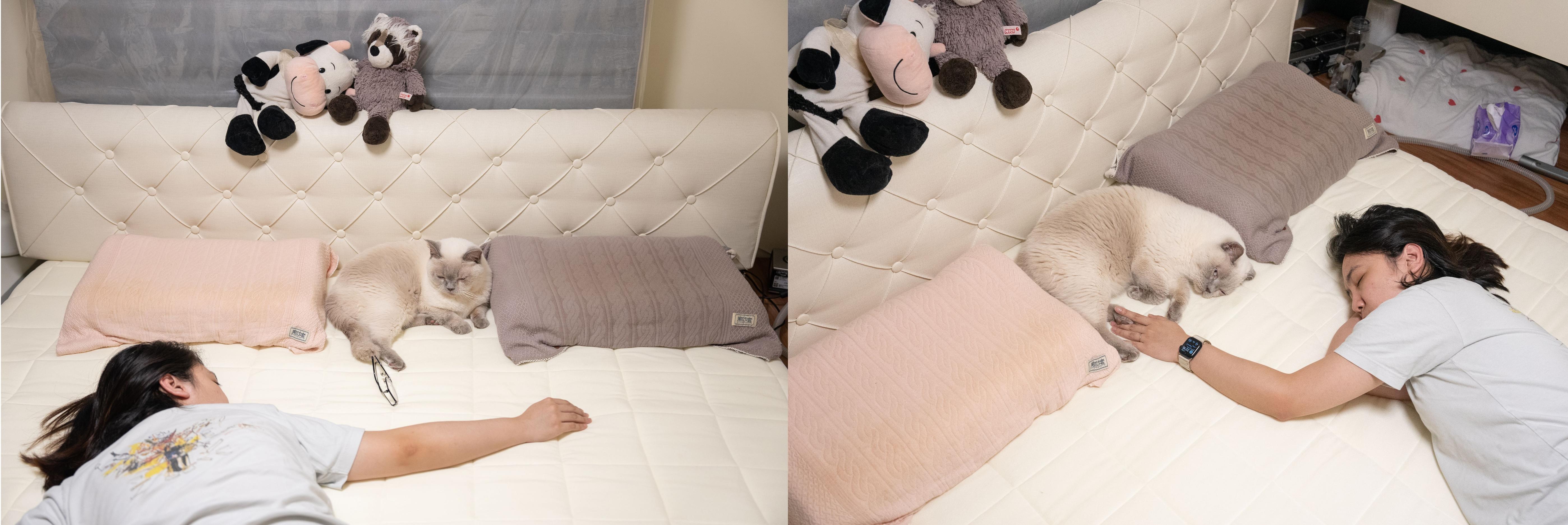 爱维福床垫什么档次,爱维福床垫价目表