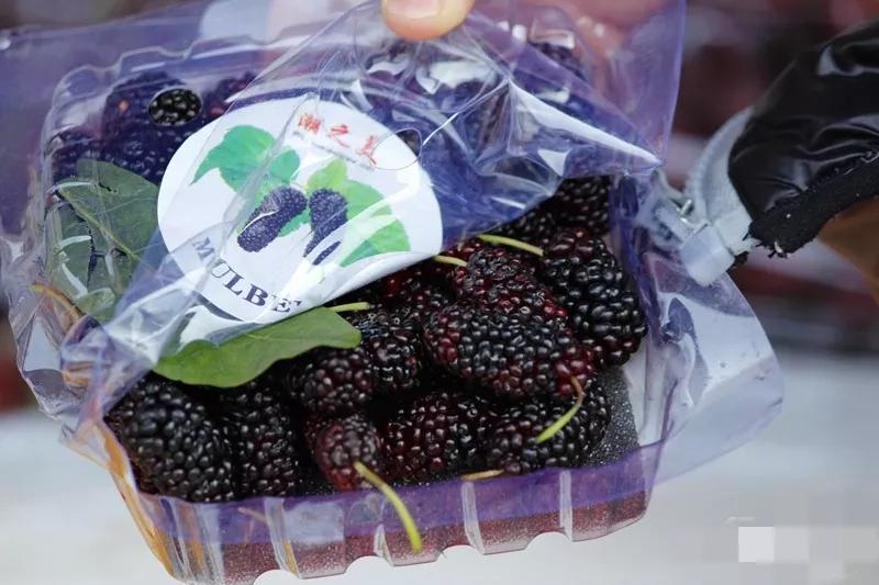 桑葚事件,被骂上热搜的事件