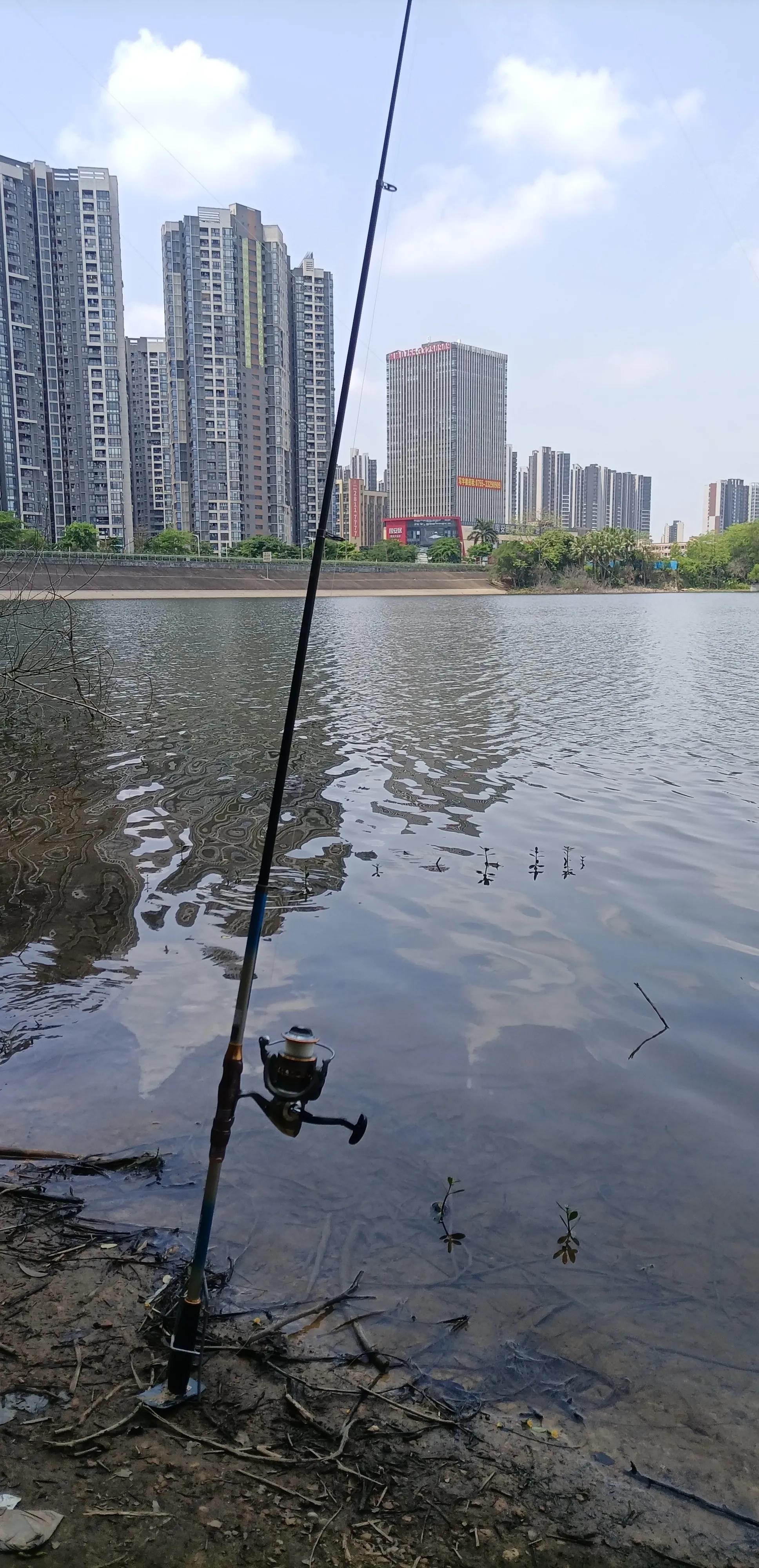 平常心即是道经典语录,平常心即是道南怀瑾