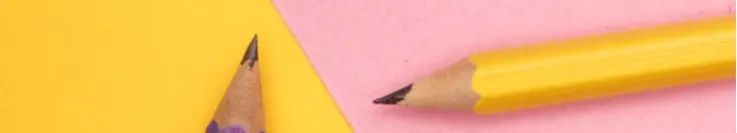 基于“跨学科素养”教学设计的国际典型案例列举