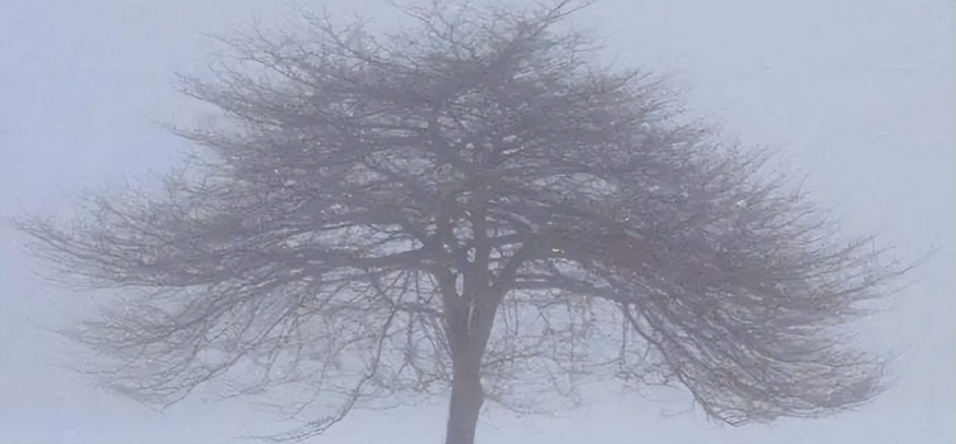 舒伯特冬之旅纯音乐,舒伯特冬之旅是艺术歌曲还是歌剧