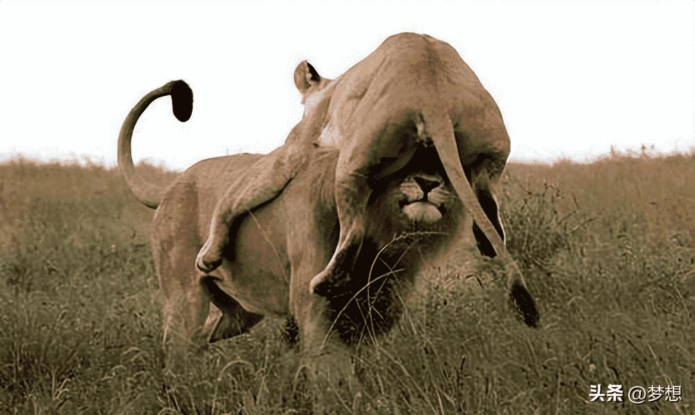 珍贵照片，日军*杀屠**老百姓强奸妇女，用刀剖开肚子，看看多残忍