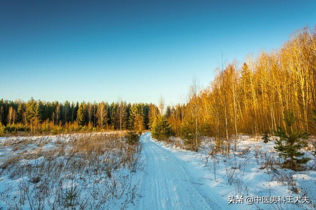 乏困无力没精神是肾阳虚吗,肾气不足浑身没劲1招提升肾阳气