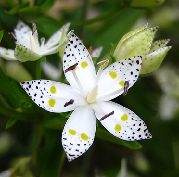 鎯熸効鏃跺厜娓╂煍浼翠綘,鎯熸効鏃跺厜娓╂煍浠ュ緟