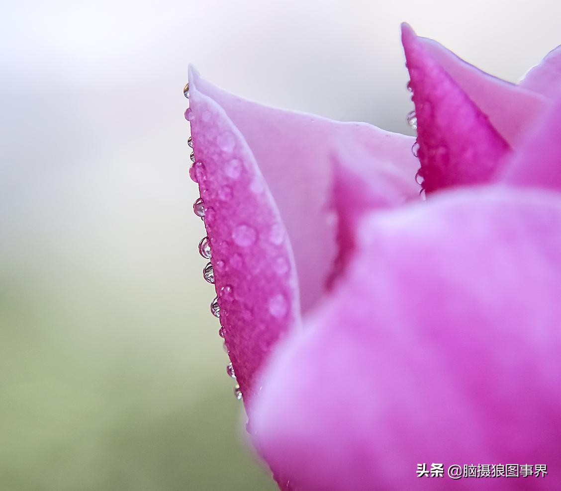 拍照如何确保对焦准确,拍照时对焦很难对上