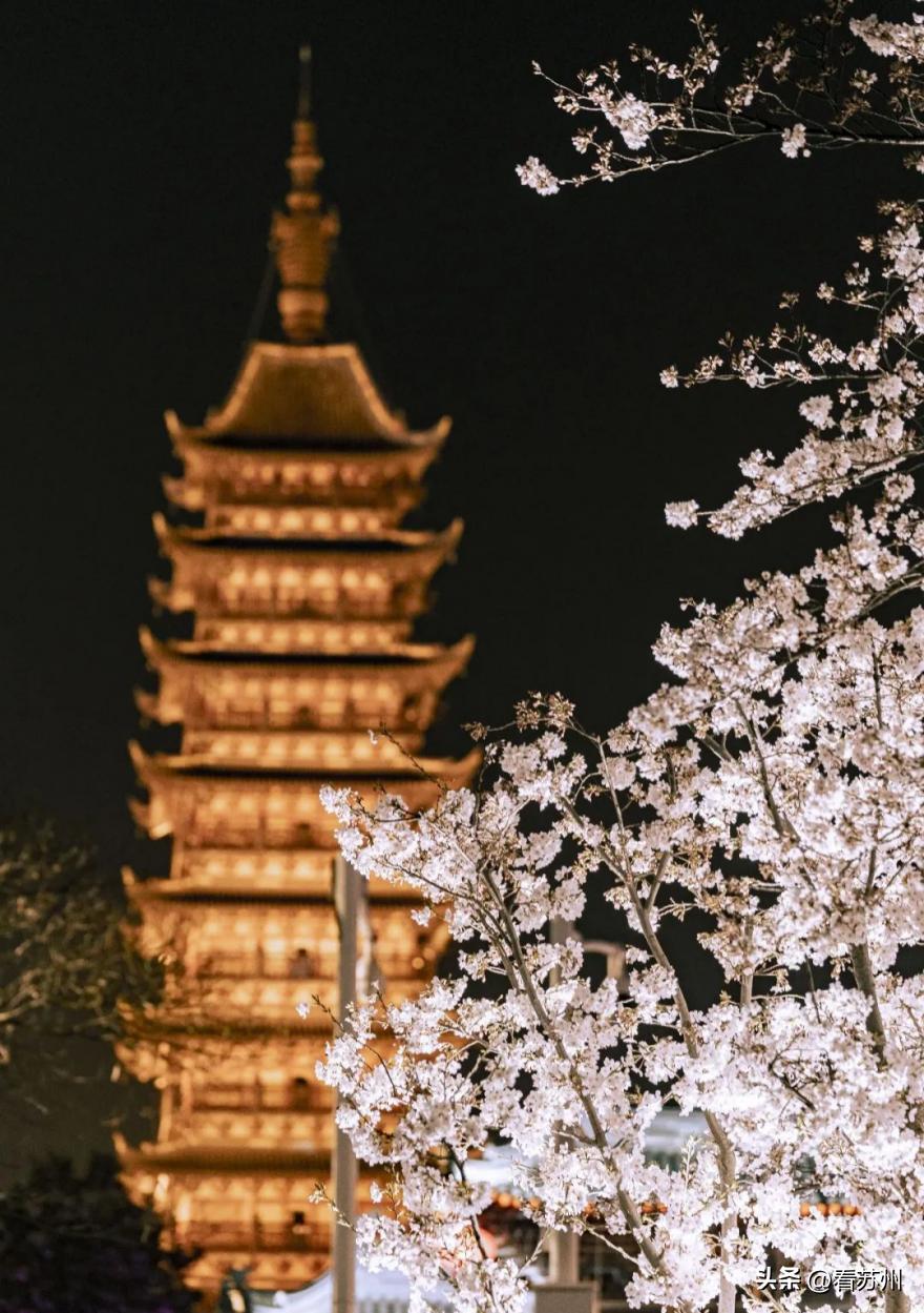 苏州最具有地方特色的美食,苏州有哪些著名的美食