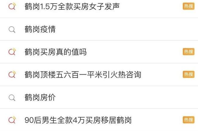 广东90后小伙鹤岗买房,90后女孩花4万买房移居鹤岗现状