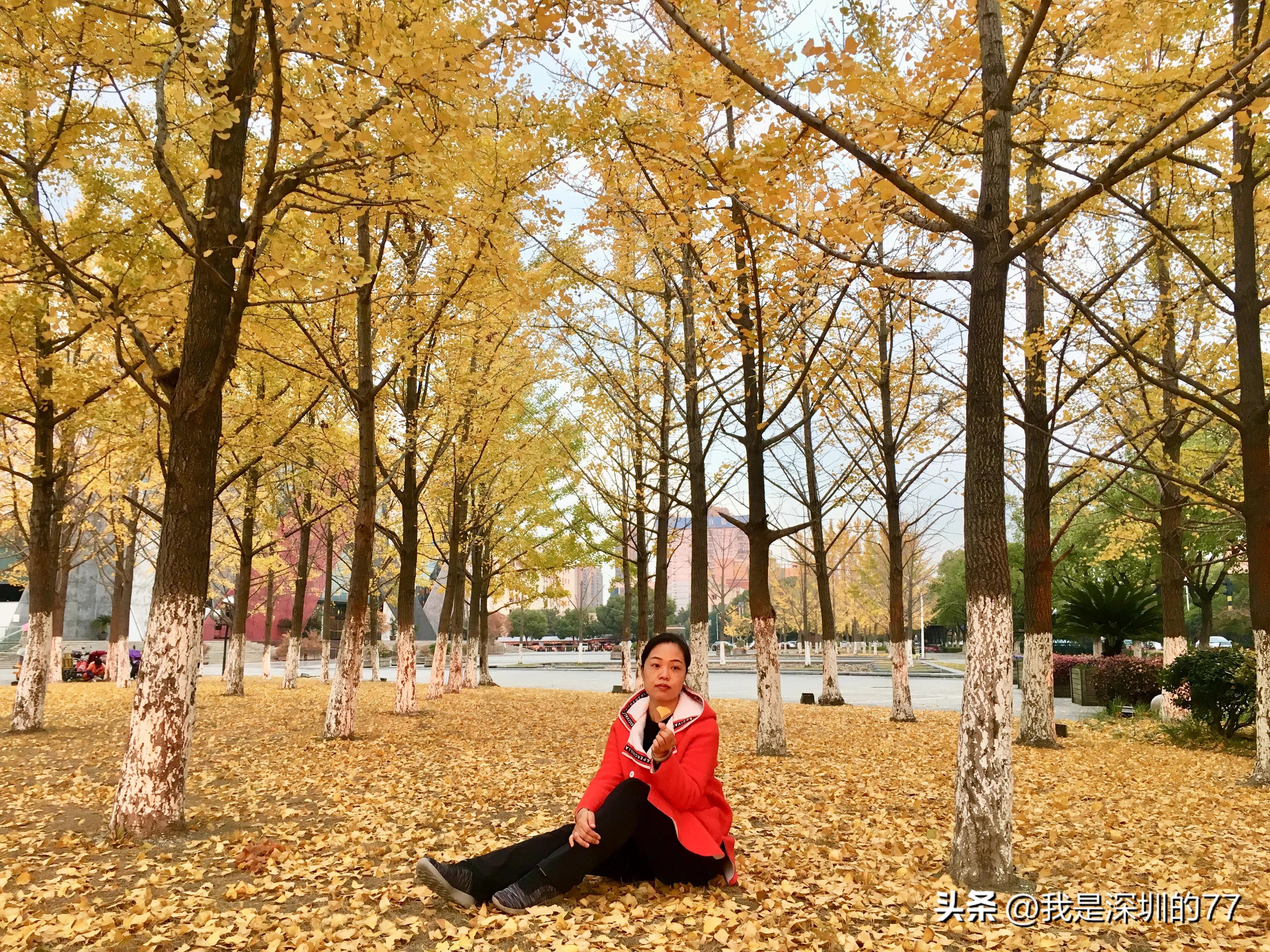 十一月，我在寻找杭州的秋天