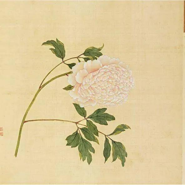 蒋廷锡牡丹画法,蒋廷锡百种牡丹画法