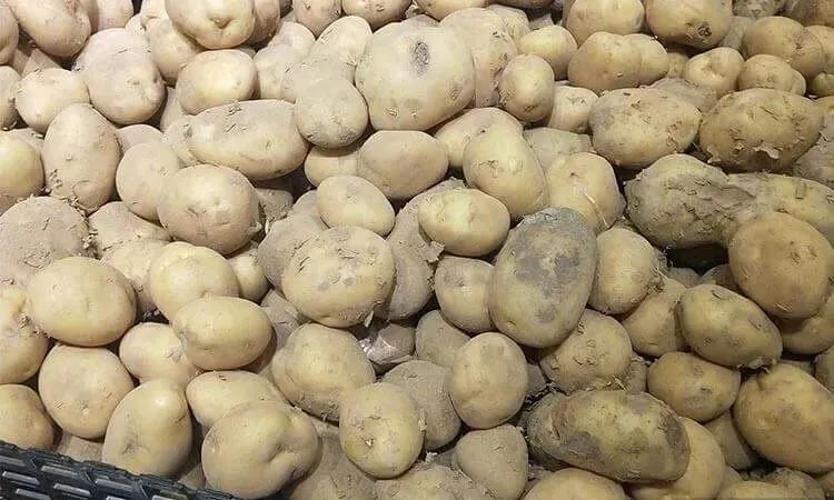 土豆煮多久才会软,土豆煮多久就可以去皮